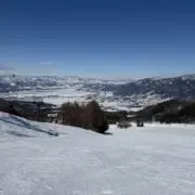 りゅの画像