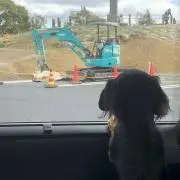 raimuの画像