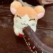 はしもと