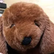ＬAＬA7の画像