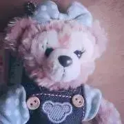 cの画像