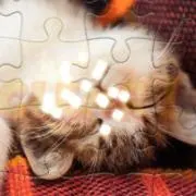 ( '-'  )