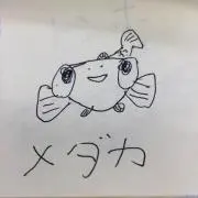 メダカの画像