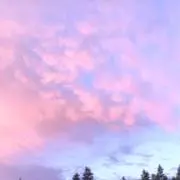 あんりの画像