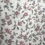 Rの画像