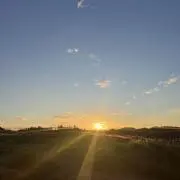 arisuの画像
