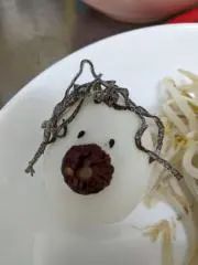 Dairiの画像
