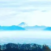 はの画像