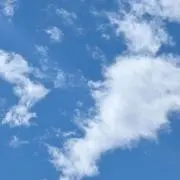 【断捨離中】みみの画像