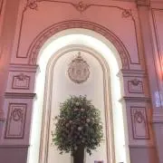 ポムの画像
