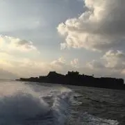 pipikoko3の画像