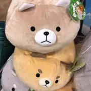たくてぃーの画像