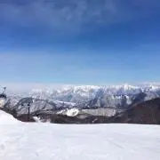maiの画像