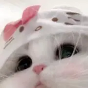 uの画像