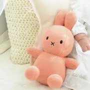 ちゃこの画像