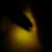 タルホ