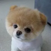 ユート
