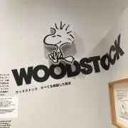nicootの画像