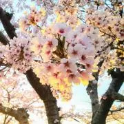 79【プロフ必読】の画像