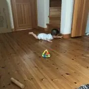 がんもの画像