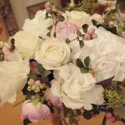 あにゃ♡の画像