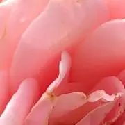 aの画像