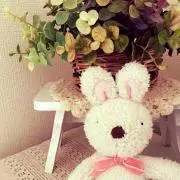 ＊ぽこちゃん＊売り切り希望！プロフ必読！
