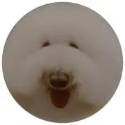 いぬがわねねこ