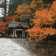 なみの画像