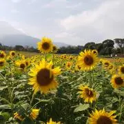 ⭐️ひめ⭐️