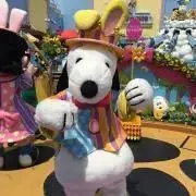 ACE☆プロフィール必読の画像