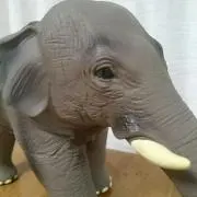 RIO Robert Polidori Marc Ferrez 建築 ブラジル - メルカリ