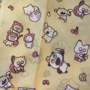 chicoの画像
