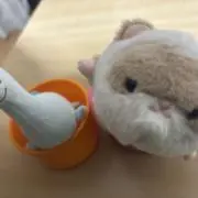 さーの画像