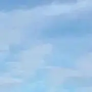 YM