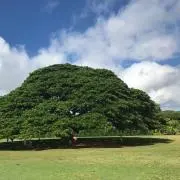 mi-utan✩の画像