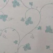 ユカリマンの画像