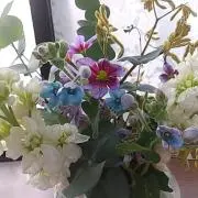 Image of ミミ☆☆発送遅れます☆☆