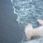 toriの画像
