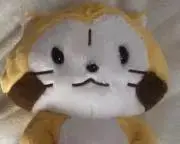 ハチの画像