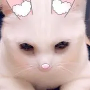 mi-の画像