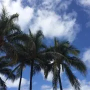 ppp_39の画像