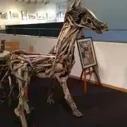 Hanaの画像