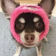 みうみくパパ