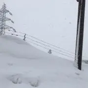 ヤジライトイヤーの画像