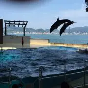 まろんの画像