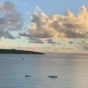 きなこもちの画像