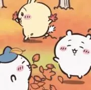 ひなの画像