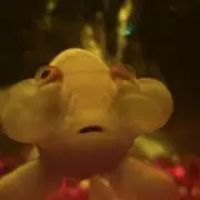 天然　水の画像