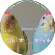 ゆき96